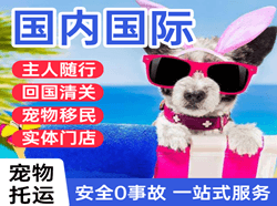 湛江机场空运国际宠物托运 【国