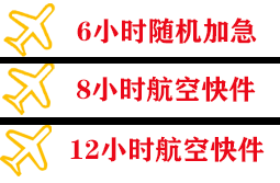 湛江机场空运快递公司,专业空运当天件